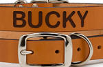 Personalized Cat Leather Collar in Tan