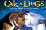 Cat DVD