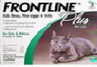 Frontline Plus, Cats, 3 Tubes